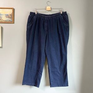 Alia denim pants jeans Plus Size 22W
